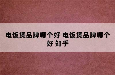 电饭煲品牌哪个好 电饭煲品牌哪个好 知乎